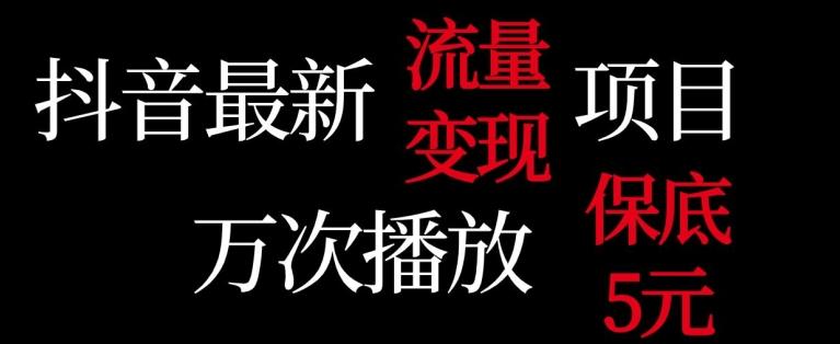 抖音流量变现，万次播放保底5元，额外收入-跃知万川