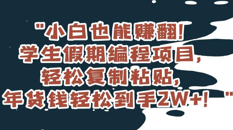 小白也能赚翻！学生假期编程项目，轻松复制粘贴，年货钱轻松到手2W+【揭秘】-跃知万川