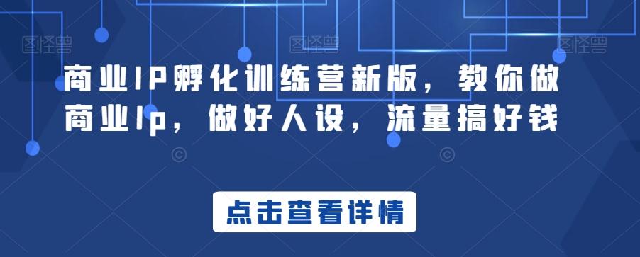 商业IP孵化训练营新版，教你做商业Ip，做好人设，流量搞好钱-跃知万川