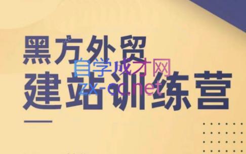 黑方老师·谷歌B端独立站建站推广-跃知万川