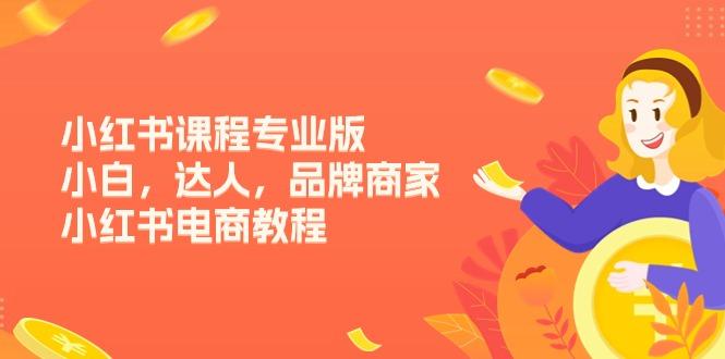 小红书课程专业版，小白，达人，品牌商家，小红书电商教程(15节-跃知万川