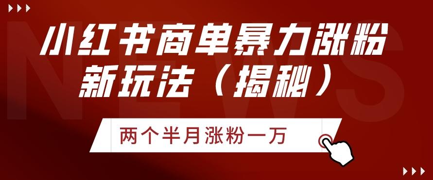 小红书商单暴力涨粉新玩法两个半月涨粉一万（揭秘）-跃知万川