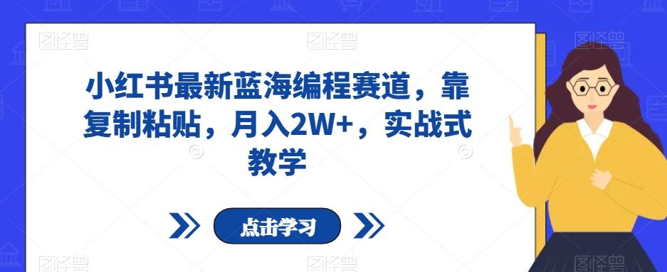 小红书最新蓝海编程赛道，靠复制粘贴，月入2W+，实战式教学【揭秘】-跃知万川