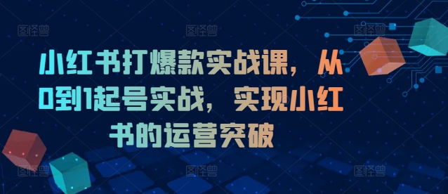 小红书打爆款实战课，从0到1起号实战，实现小红书的运营突破-跃知万川