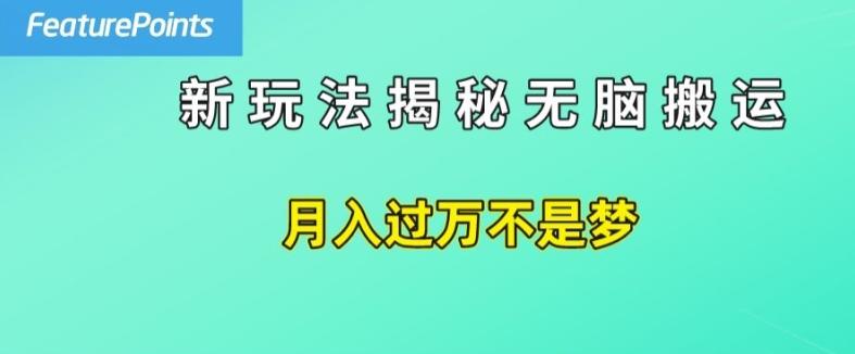 简单操作，每天50美元收入，搬运就是赚钱的秘诀【揭秘】-跃知万川