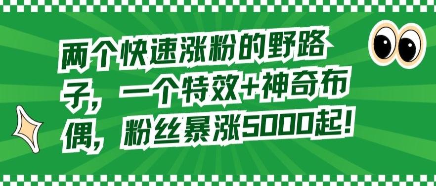 两个快速涨粉的野路子，一个特效+神奇布偶，粉丝暴涨5000起【揭秘】-跃知万川