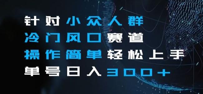 针对小众人群冷门风口赛道，操作简单轻松上手单号日入300+-跃知万川