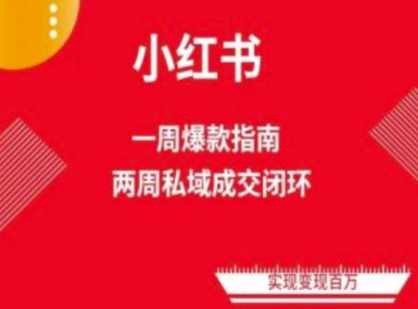 爆款小红书免费流量体系课程(两周变现)，小红书电商教程-跃知万川