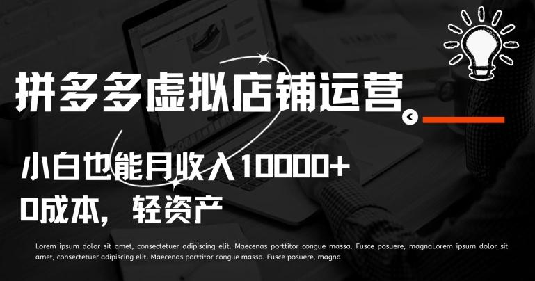 拼多多虚拟店铺运营小白也能月收入10000+【揭秘】-跃知万川