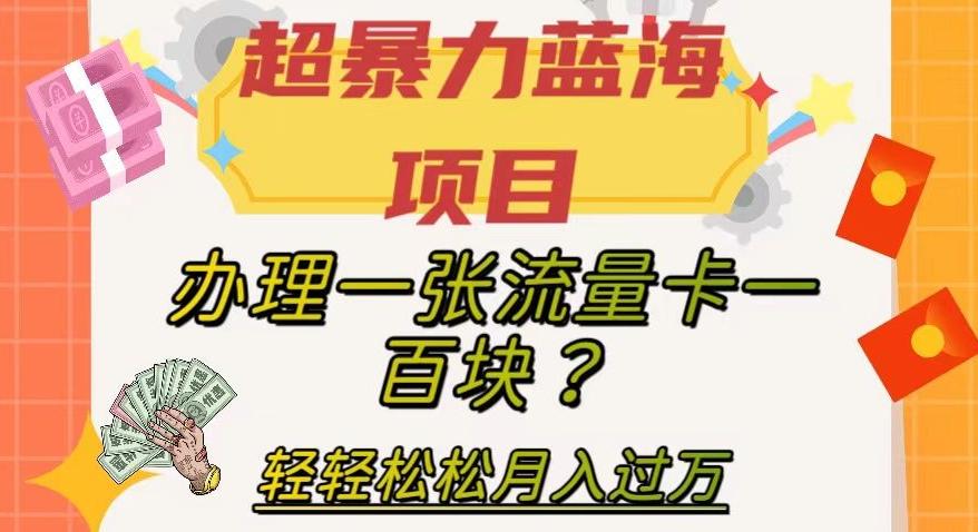 超暴力蓝海项目，办理一张流量卡一百块？轻轻松松月入过万，保姆级教程【揭秘】-跃知万川