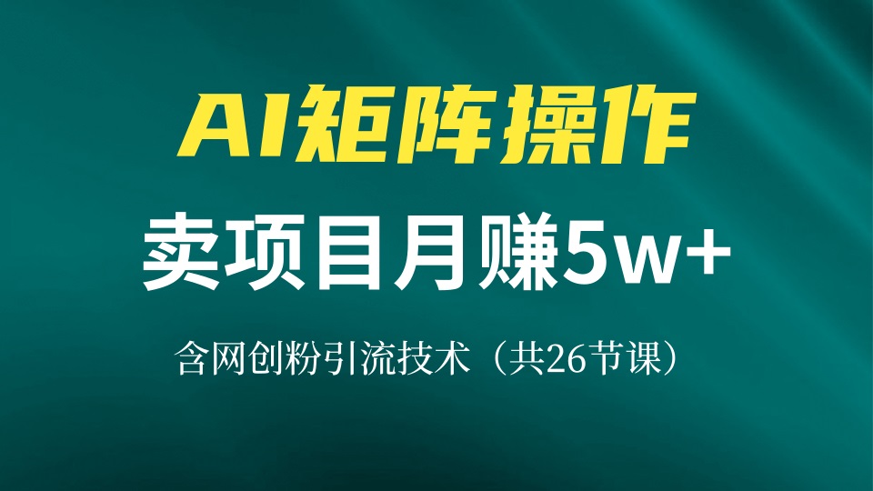 网创IP打造课，借助AI卖项目月赚5万+，含引流技术(共26节课-跃知万川