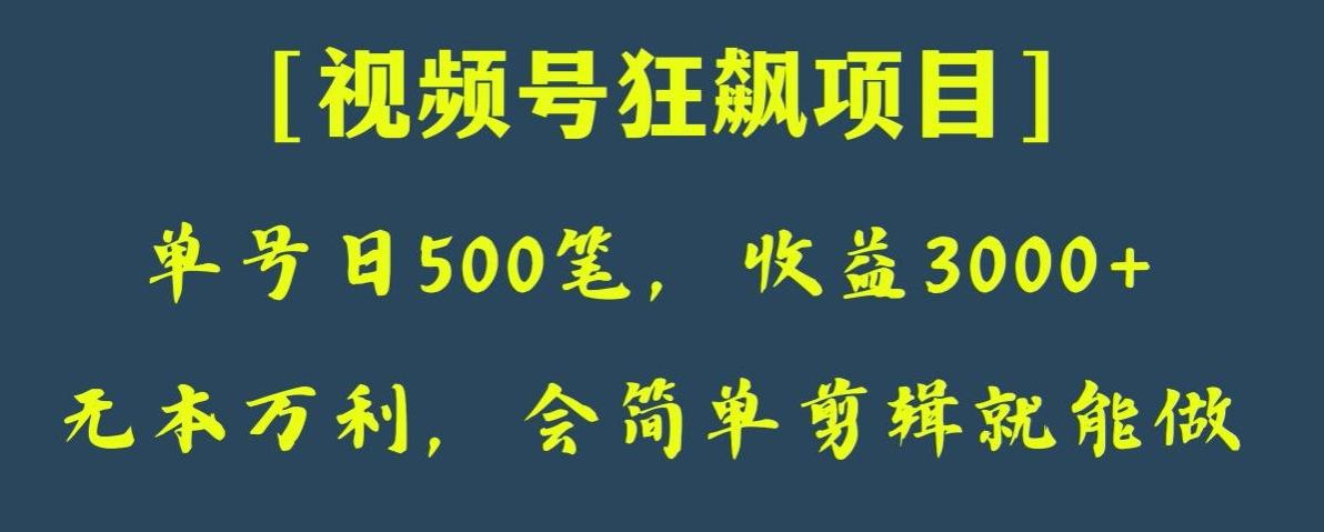 日收款500笔，纯利润3000+，视频号狂飙项目，会简单剪辑就能做【揭秘】-跃知万川