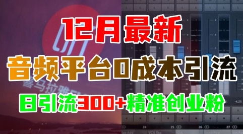 12月最新：音频平台0成本引流，日引流300+精准创业粉-跃知万川