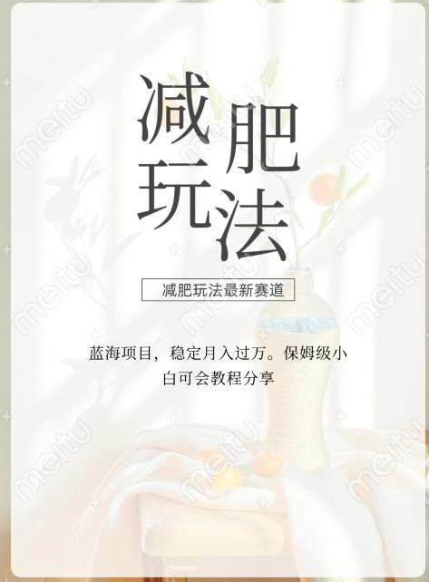 减肥流量主新玩法，轻松月入1W，可矩阵操作收入翻倍-跃知万川