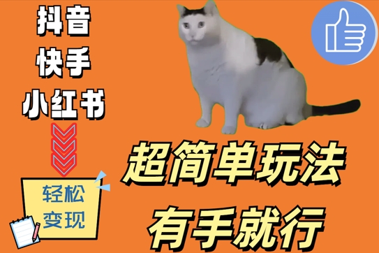 超简单玩法，有手就行，靠猫咪视频日入500+【揭秘】-跃知万川