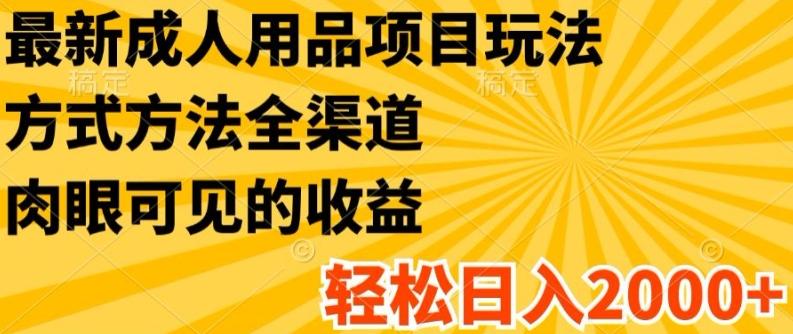 最新成人用品项目玩法，方式方法全渠道，轻松日入2K+【揭秘】-跃知万川