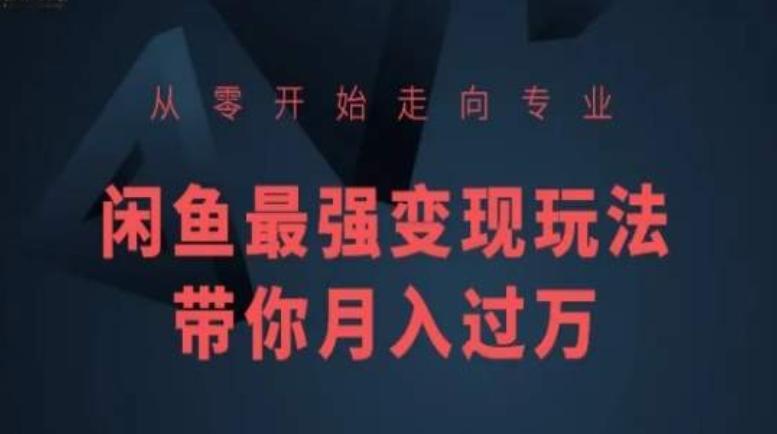 从零开始走向专业，闲鱼最强变现玩法带你月入过万-跃知万川