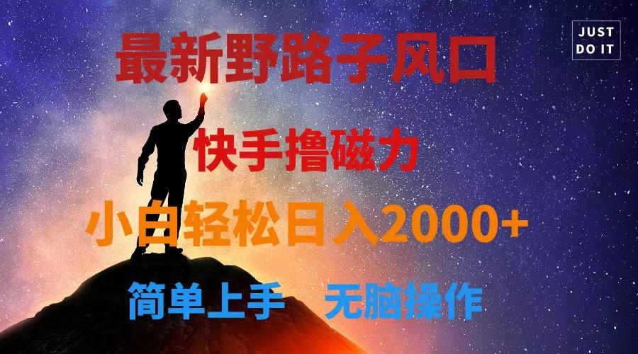 最新风口！快手撸磁力，野路子，小白无脑操作日入2000+-跃知万川