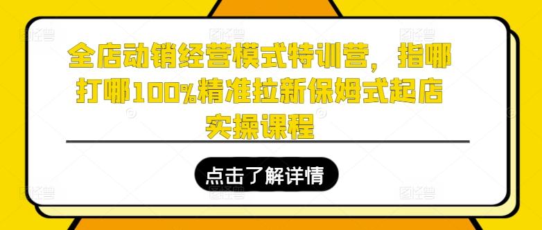 全店动销经营模式特训营，指哪打哪100%精准拉新保姆式起店实操课程-跃知万川