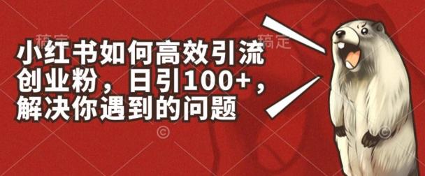 小红书如何高效引流创业粉，日引100+，解决你遇到的问题【揭秘】-跃知万川