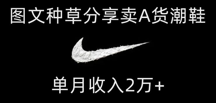 靠图文种草分享卖A货潮鞋，每天一小时，单月收入2万+【揭秘】-跃知万川