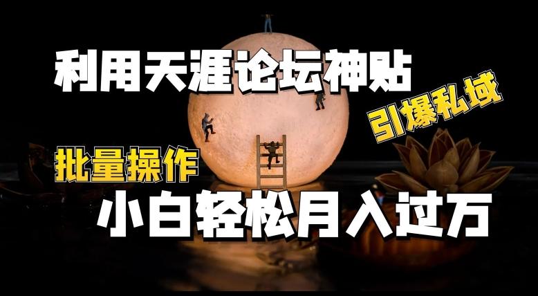 利用天涯论坛神贴，引爆私域，批量操作，小白轻松月入过w【揭秘】-跃知万川