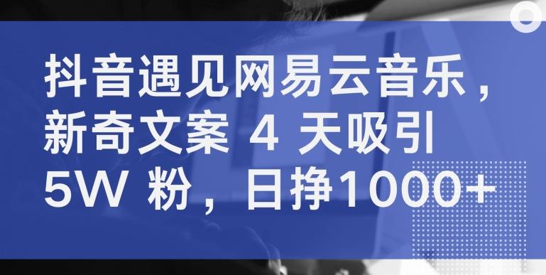 抖音遇见网易云音乐，新奇文案 4 天吸引 5W 粉，日挣1000+【揭秘】-跃知万川