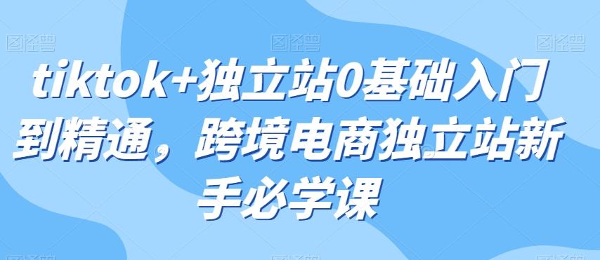 tiktok+独立站0基础入门到精通，跨境电商独立站新手必学课-跃知万川