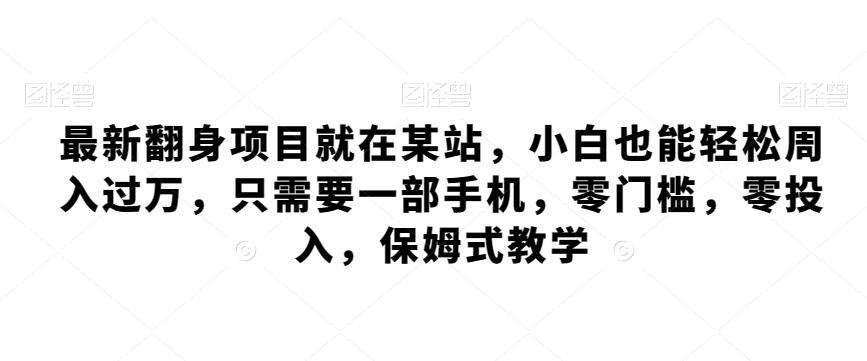 最新翻身项目就在某站，小白也能轻松周入过万，只需要一部手机，零门槛，零投入，保姆式教学-跃知万川