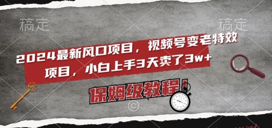 2024最新风口项目，视频号变老特效项目，电脑小白上手3天卖了3w+，保姆级教程【揭秘】-跃知万川