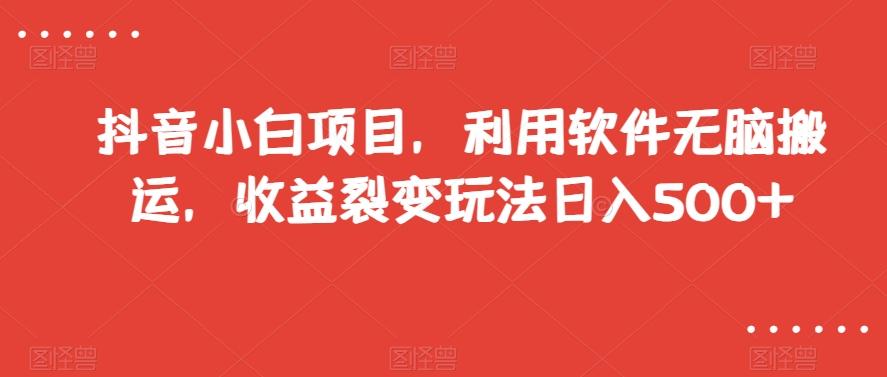 抖音小白项目，利用软件无脑搬运，收益裂变玩法日入500+【揭秘】-跃知万川