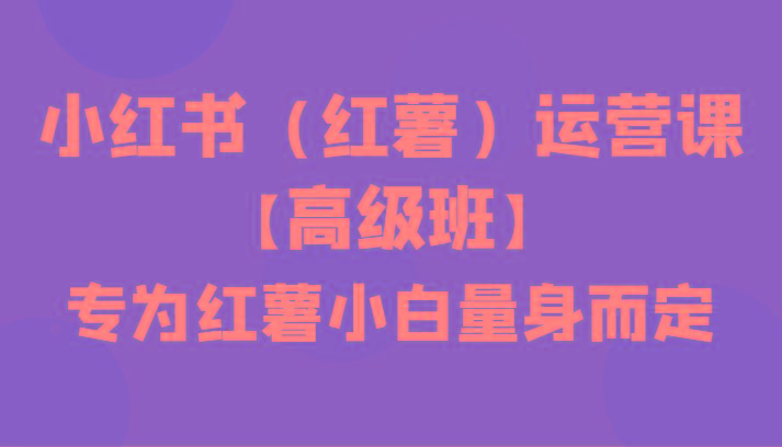 小红书(红薯)运营课【高级班】，专为红薯小白量身而定(42节课)-跃知万川