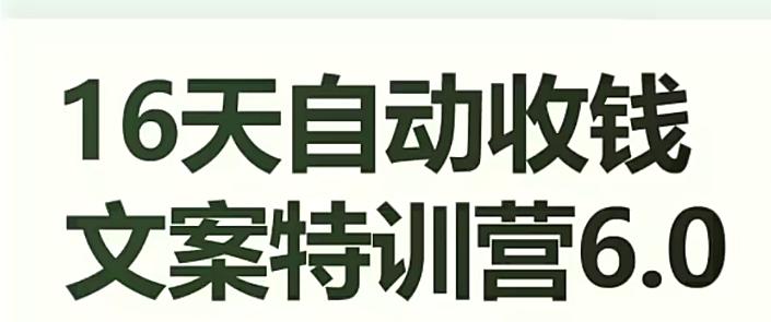 16天自动收钱文案特训营6.0，学会儿每天自动咔咔收钱-跃知万川