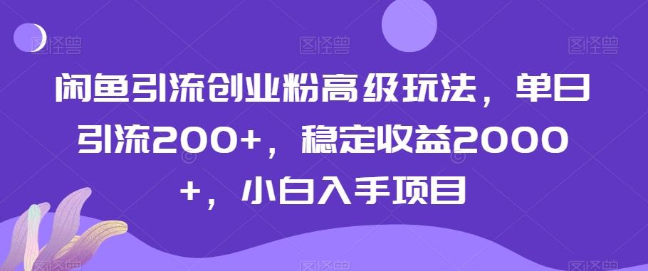 闲鱼引流创业粉高级玩法，单日引流200+，稳定收益2000+，小白入手项目-跃知万川