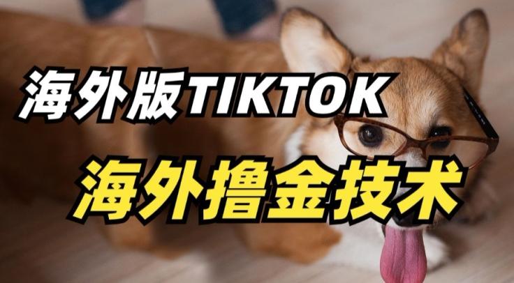 抖音海外版tiktok撸金技术，这个风口行业，赚钱真的不难【揭秘】-跃知万川