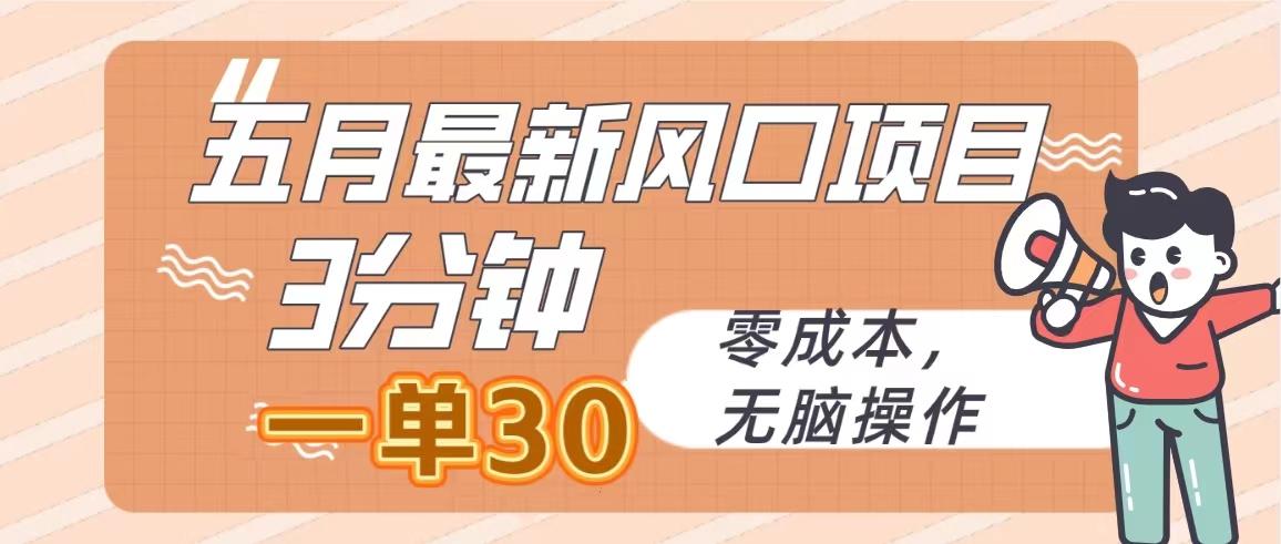 五月最新风口项目，3分钟一单30，零成本，无脑操作-跃知万川
