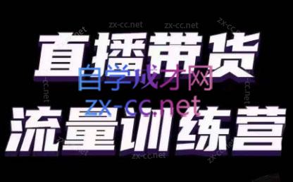 婉婉·直播带货课程系列合集(更新8月)-跃知万川