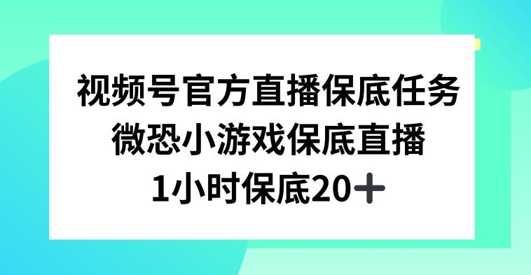 视频号直播任务，微恐小游戏，1小时20+【揭秘】-跃知万川