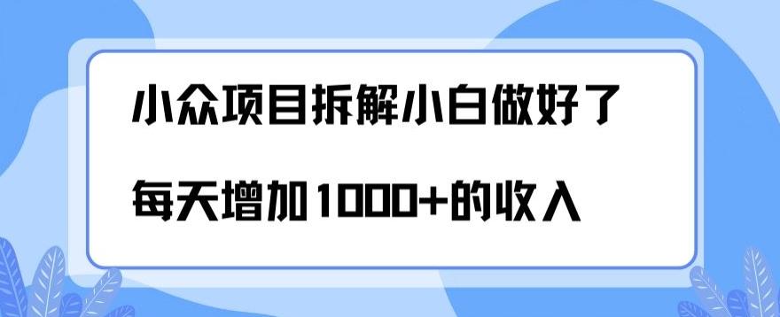 小众项目拆解，小白做好了每天可增加1000多的收入-跃知万川