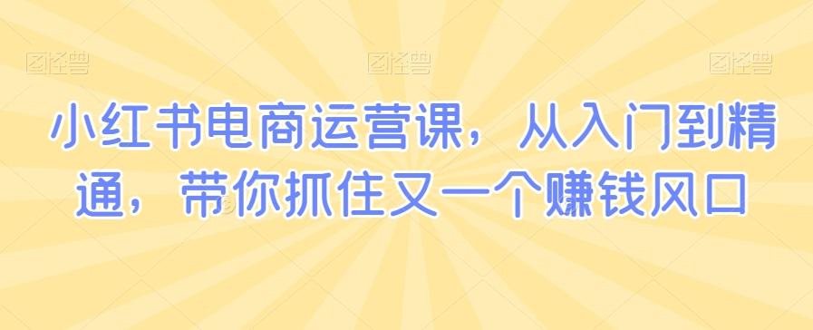 小红书电商运营课，从入门到精通，带你抓住又一个赚钱风口-跃知万川