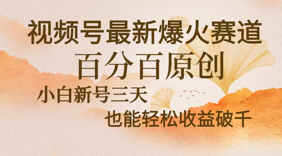 视频号最新爆火赛道，中老年粉深信不疑，百分百原创，新号三天收益轻松…-跃知万川