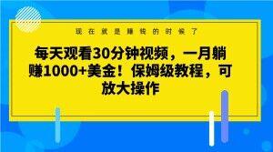 每天观看30分钟视频，一月躺赚1000+美金！保姆级教程，可放大操作【揭秘】-跃知万川