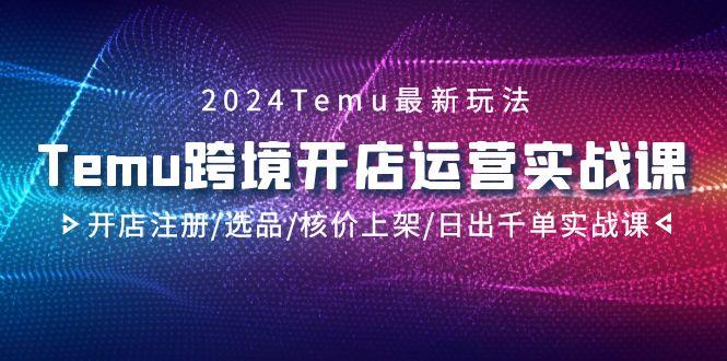 2024Temu跨境开店运营实战课，开店注册/选品/核价上架/日出千单实战课-跃知万川