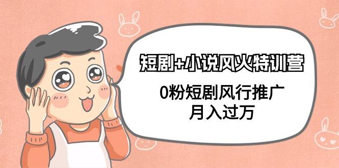 (9374期)短剧+小说风火特训营，0粉短剧风行推广，月入过万(102节课)-跃知万川