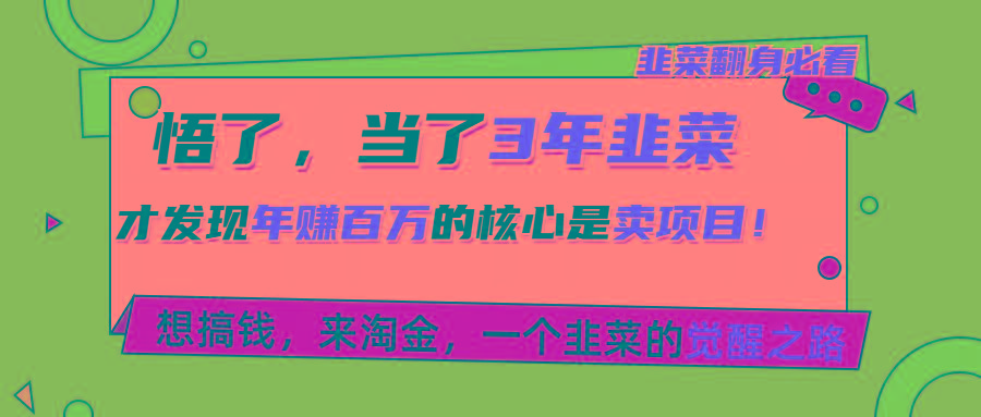 悟了，当了3年韭菜，才发现网赚圈年赚100万的核心是卖项目，含泪分享！-跃知万川