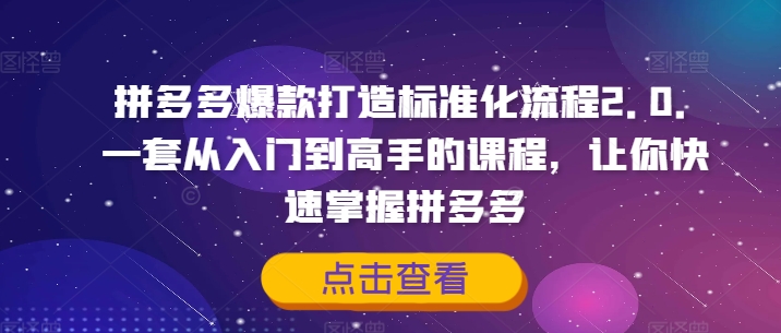 拼多多爆款打造标准化流程2.0，一套从入门到高手的课程，让你快速掌握拼多多-跃知万川