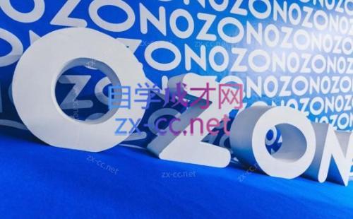 森哥·出海俄罗斯电商实操(2024)-跃知万川