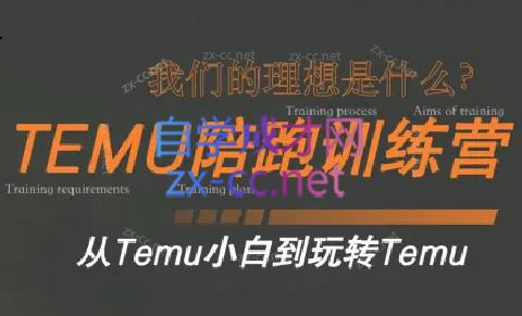 苗苗·拼多多跨境（temu）课程-跃知万川
