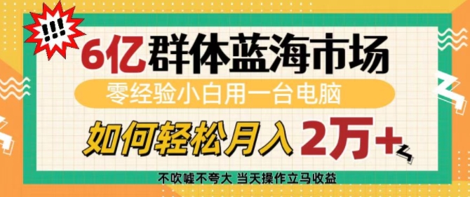 6亿群体蓝海市场，零经验小白用一台电脑，如何轻松月入过w【揭秘】-跃知万川