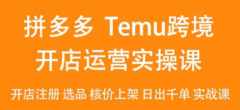 2024Temu最新玩法，Temu跨境开店运营实操课，开店注册/选品/核价上架/日出千单实战课-跃知万川